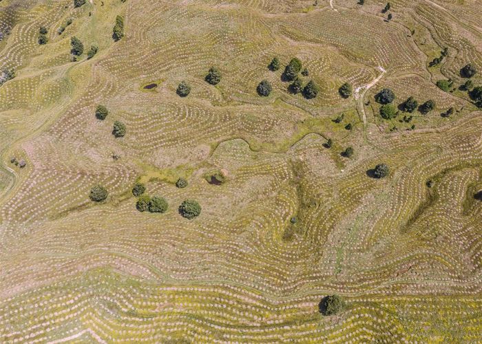  at 484 Mangapapa Road, Stratford, Stratford, Taranaki