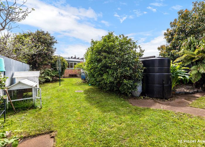  at 12 Hazel Avenue, Mount Roskill, Auckland