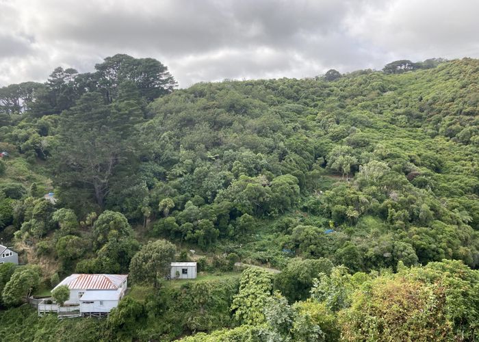  at 31B Mt Pleasant Rd, Aro Valley, Wellington, Wellington