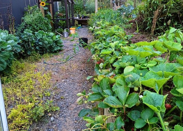  at 12 Princes Street, Waikino, Waihi