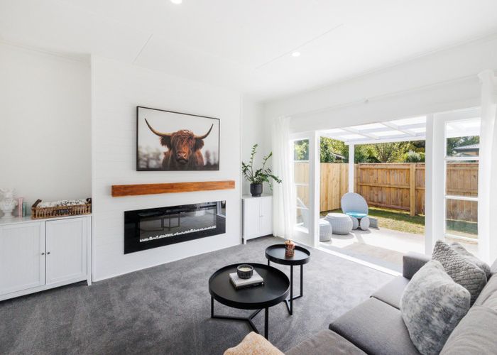  at 173 Botanical Road, Takaro, Palmerston North, Manawatu / Whanganui