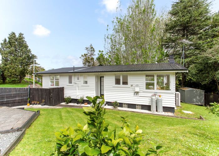  at 19 Laburnum Road, New Windsor, Auckland City, Auckland