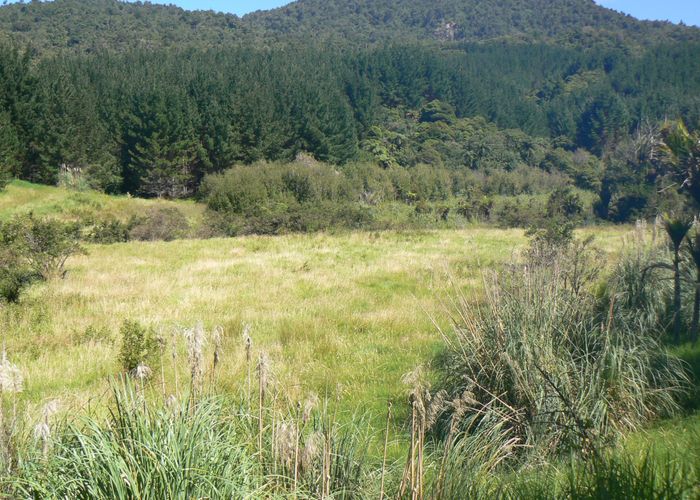  at 0 Takahue Saddle Rd, Broadwood, Far North, Northland