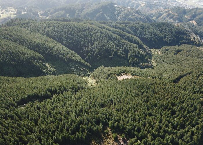  at Mount Cecil Road, Moonshine Valley, Upper Hutt, Wellington
