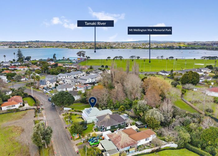  at 22 Larsen Road, Panmure, Auckland City, Auckland