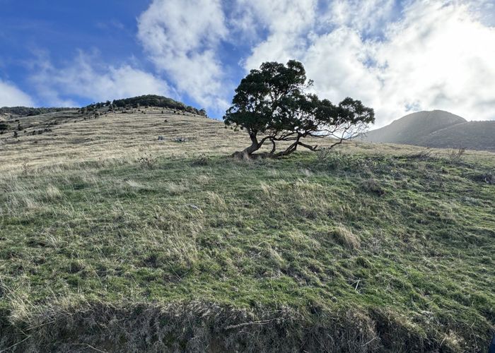  at 198ha - Le Bons Bay Road, Akaroa, Banks Peninsula, Canterbury