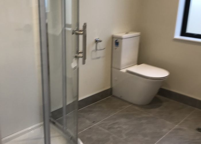  at 19D Arawa Street, New Lynn, Waitakere City, Auckland