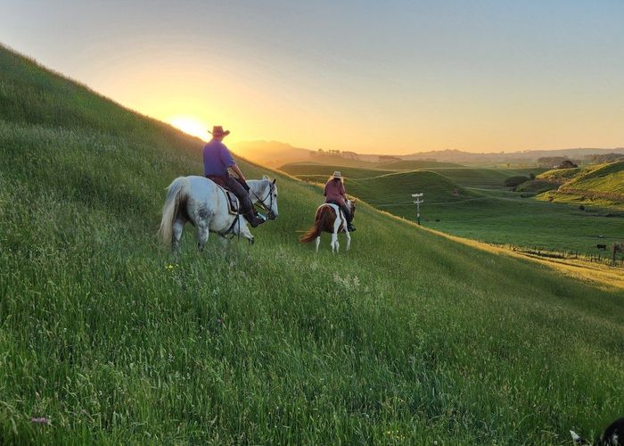  at 964 Tarata Road, Inglewood, New Plymouth, Taranaki