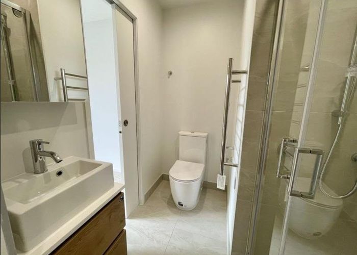 at 117/19 Lyon Avenue, Mount Albert, Auckland City, Auckland