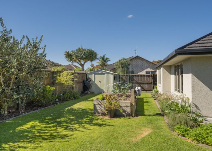  at 23 Inverness Drive, Pyes Pa, Tauranga, Bay Of Plenty