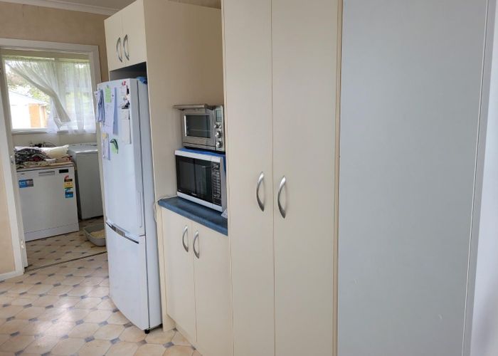  at 20 Harold Crescent, Fordlands, Rotorua, Bay Of Plenty
