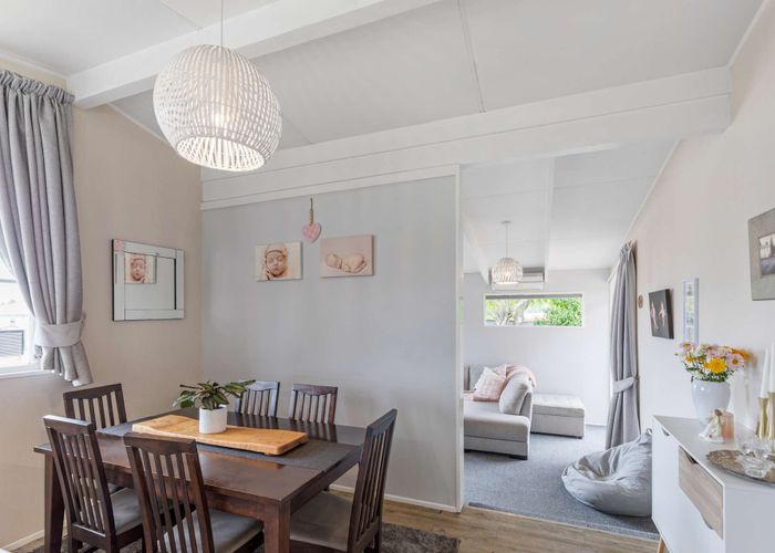  at 21 Langley Avenue, Milson, Palmerston North
