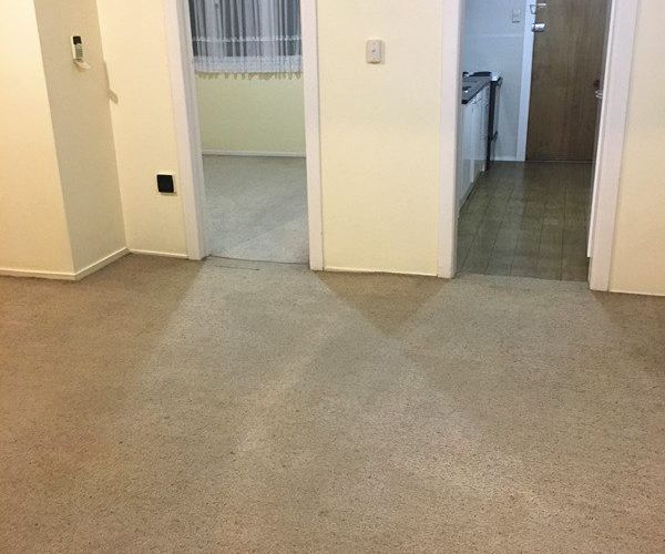  at 2/19 Robert Street , Ellerslie, Auckland City, Auckland