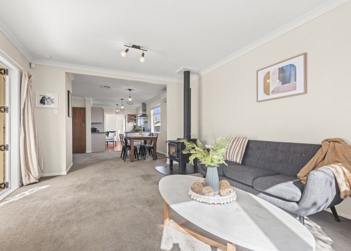  at 12 Snowdon Avenue, Terrace End, Palmerston North