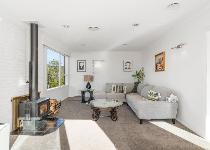  at 36 Kilgour Street, Roslyn, Dunedin, Otago