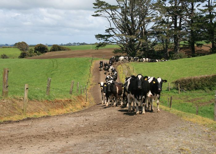 For sale 343 Opunake Road, Stratford, Stratford, Taranaki homes.co.nz