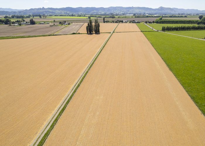  at 0 Lavenham Road, Waituhi, Gisborne, Gisborne