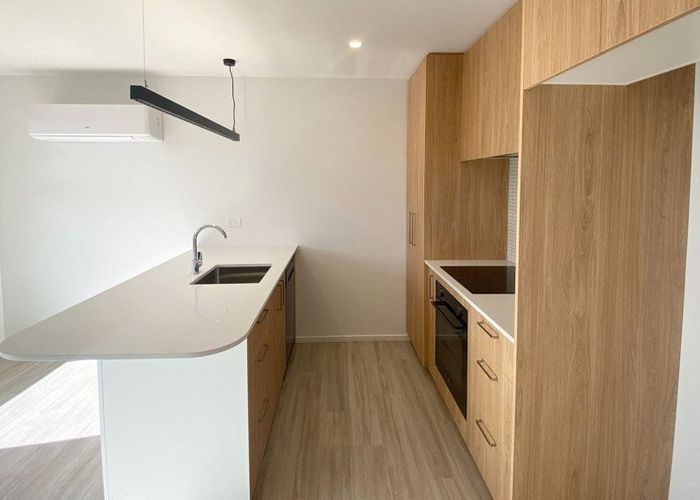  at 55a Mathesons Road, Phillipstown, Christchurch City, Canterbury