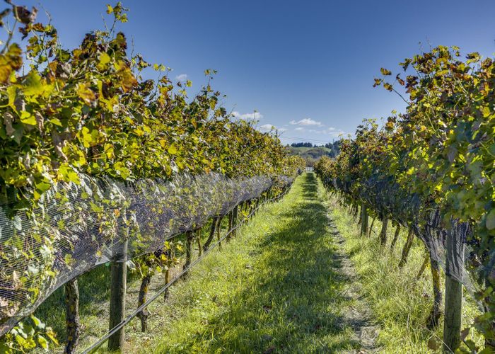  at 166 Mere Road, Fernhill, Hastings, Hawke's Bay