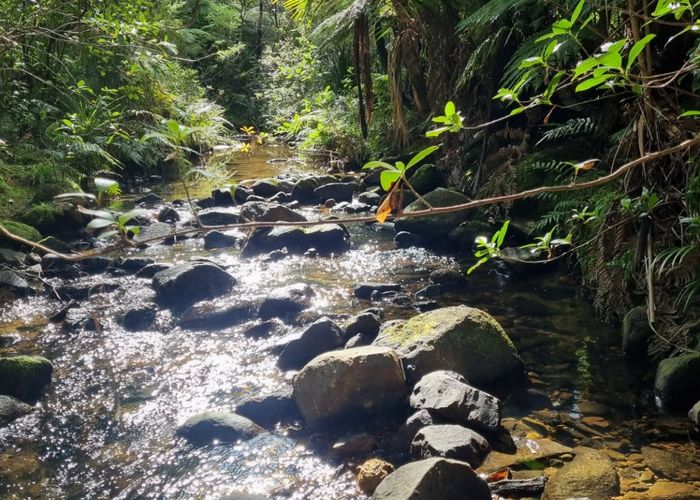  at 867 Tuateawa Road, Little Bay, Tuateawa, Thames-Coromandel, Waikato