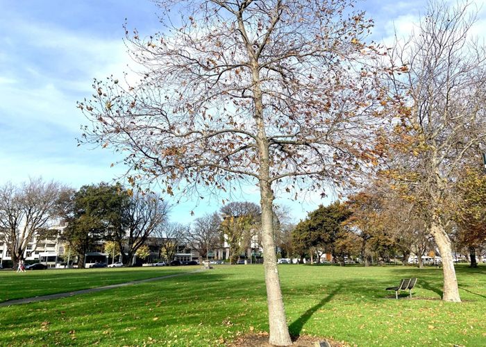  at 13/25 Latimer Square, City Centre, Christchurch City, Canterbury