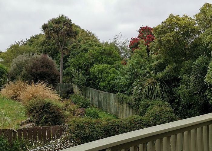  at 191 Evans Street, Opoho, Dunedin, Otago