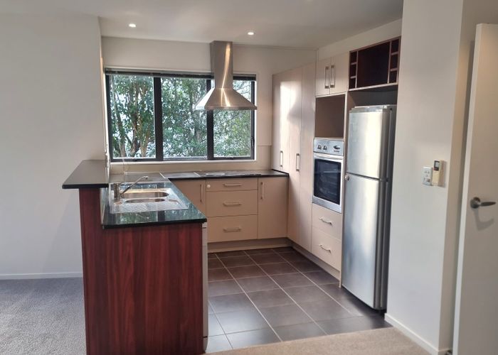  at 156A Kohimarama Rd, Kohimarama, Auckland City, Auckland