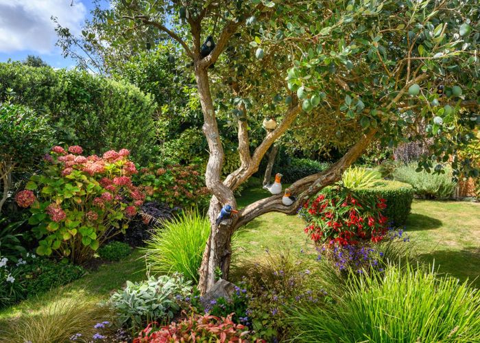  at 17 Suffolk Crescent, Feilding, Manawatu, Manawatu / Whanganui