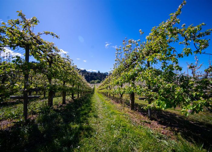  at 85 Brooklyn Valley Road, Riwaka, Tasman, Nelson / Tasman