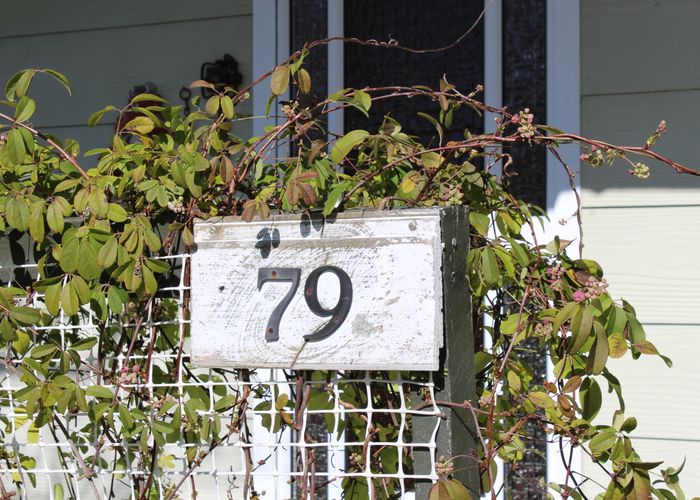  at 79 Selwyn Street, Pohara