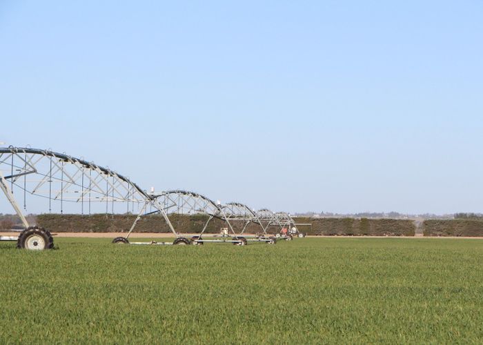  at 17 Divan Road, Levels, Timaru, Canterbury