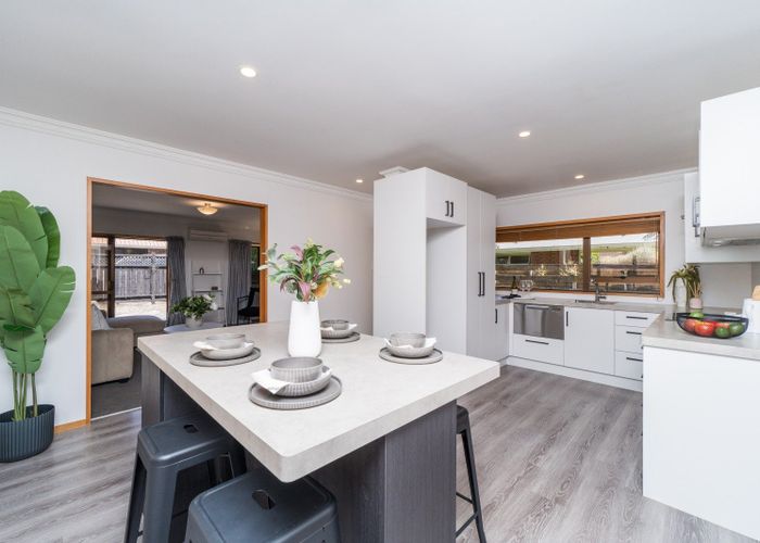  at 3 Silverdale Court, Terrace End, Palmerston North, Manawatu / Whanganui