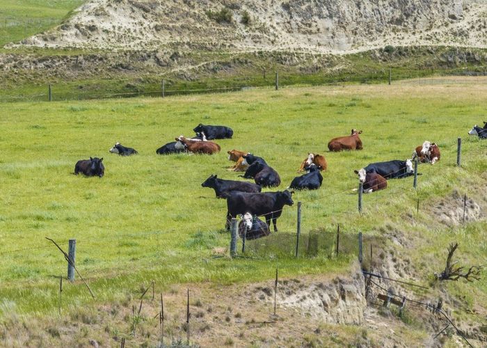  at 170 Church Road, Waipara, Hurunui, Canterbury