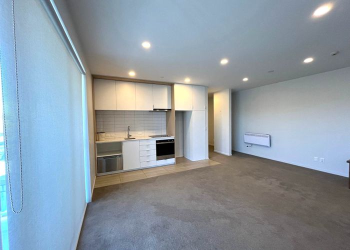  at 311/3 Bluegrey Avenue, Stonefields, Auckland City, Auckland
