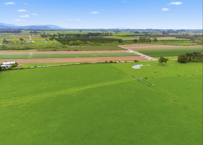  at 81 Muhunoa West Road, Ohau, Horowhenua, Manawatu / Whanganui