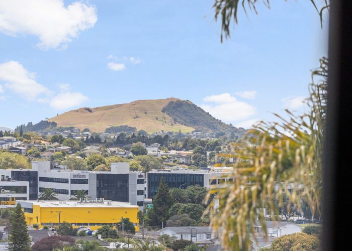  at 41b Konini Road, Greenlane, Auckland City, Auckland