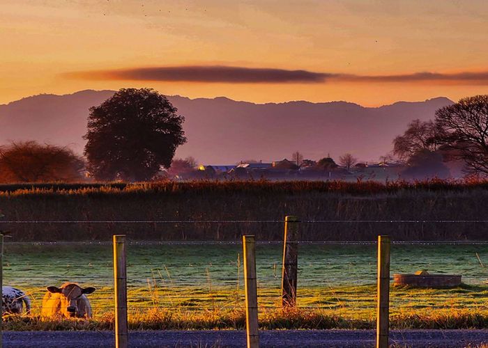  at 77 Sutton Road Te Awamutu, Te Awamutu, Waipa, Waikato