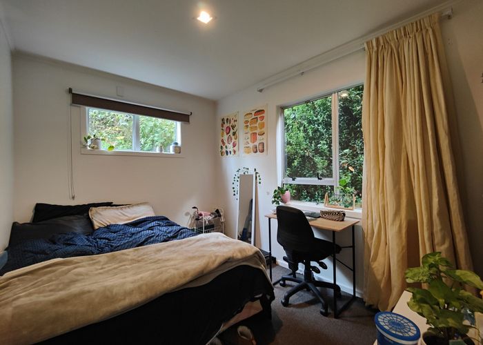  at 164B Raroa Road, Aro Valley, Wellington, Wellington