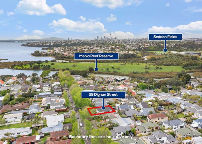  at 3/59 Dignan Street, Point Chevalier, Auckland City, Auckland