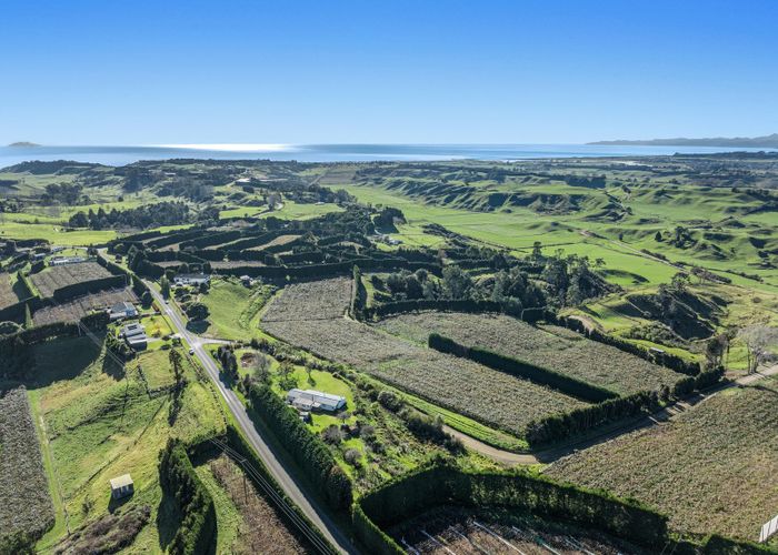  at 501 Paerata Ridge Road, Waiotahi, Opotiki, Bay Of Plenty