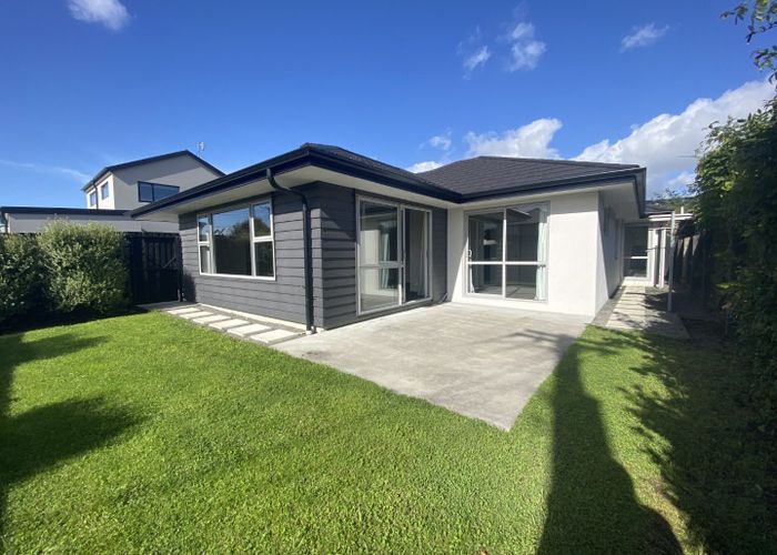  at 46 Berwick Street, St. Albans, Christchurch City, Canterbury