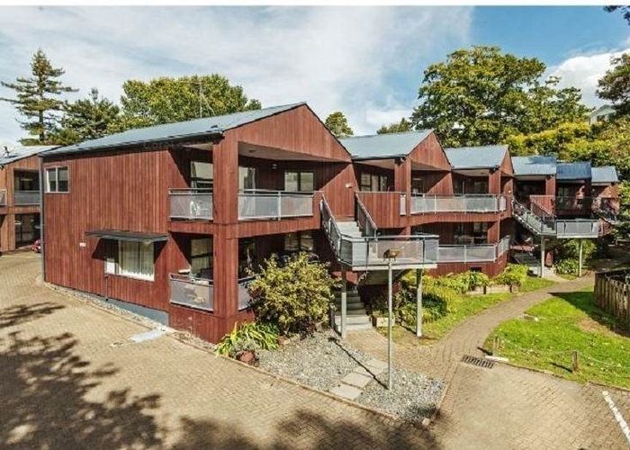  at 13/3 The Avenue, Albany, North Shore City, Auckland