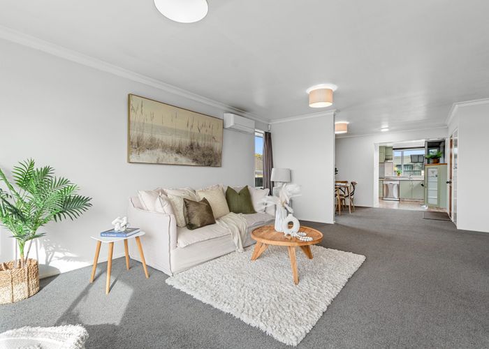  at 14 Vine Avenue, Maungatapu, Tauranga