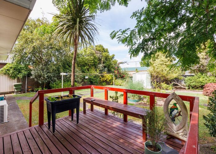  at 36A Roy Street, Palmerston North, Palmerston North
