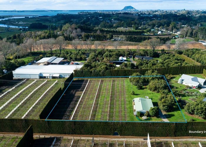  at 154B Wairoa Road, Te Puna, Western Bay Of Plenty, Bay Of Plenty