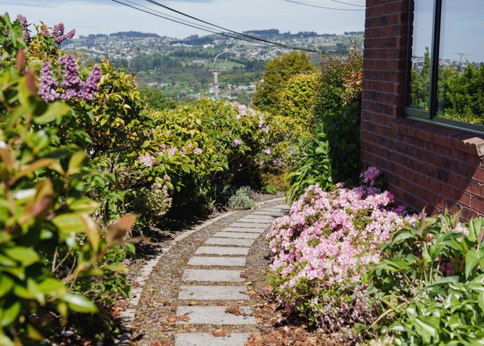  at 13 Campbells Road, Pine Hill, Dunedin, Otago