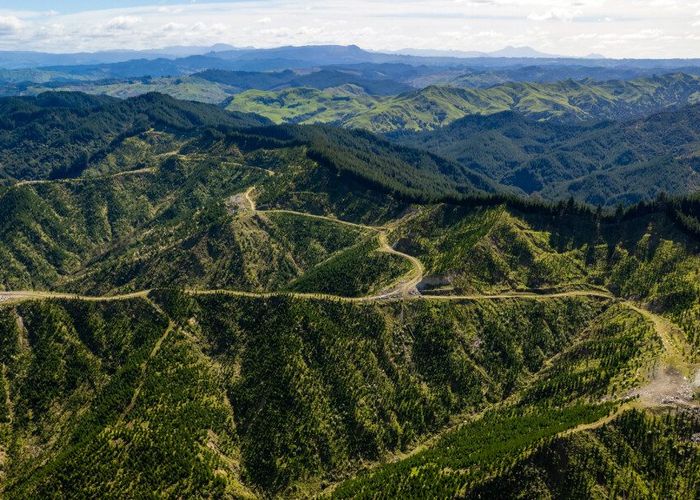  at 0 Bruce Road, Whatatutu, Whatatutu, Gisborne, Gisborne