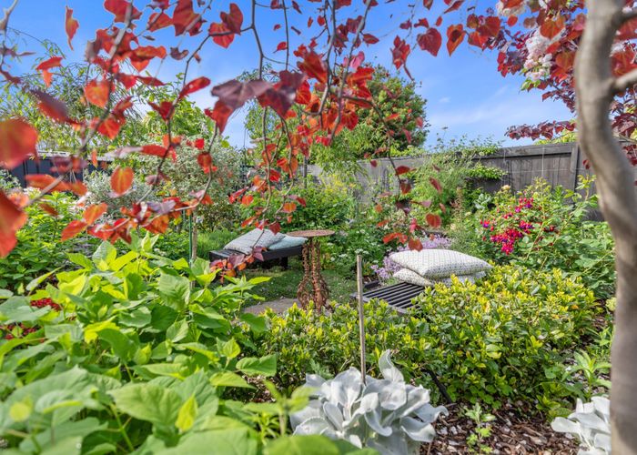  at 9 Parkwood Place, Papamoa Beach, Papamoa