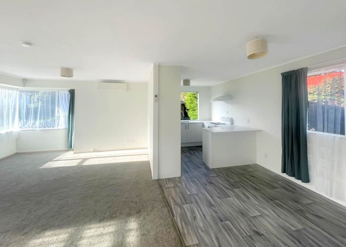  at 597A Mt Albert Road, Three Kings, Auckland City, Auckland