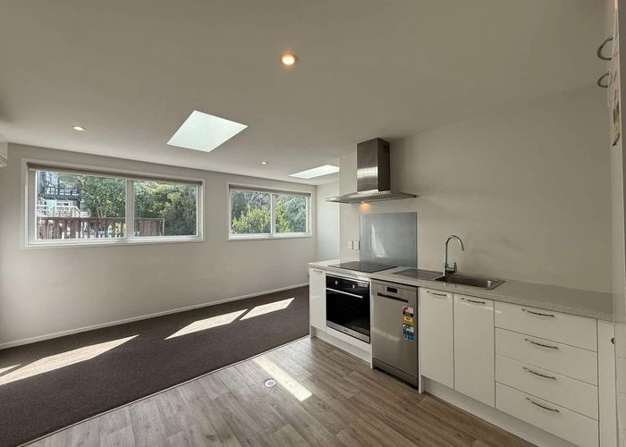  at 100b Aro Street, Aro Valley, Wellington, Wellington